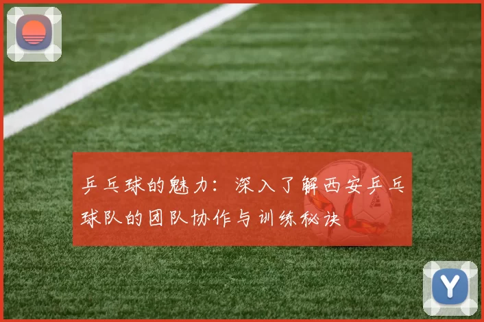 乒乓球的魅力：深入了解西安乒乓球队的团队协作与训练秘诀