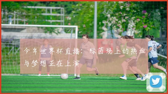 今年世界杯直播：绿茵场上的热血与梦想正在上演