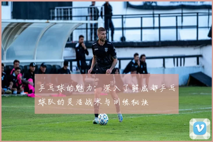 乒乓球的魅力：深入了解成都乒乓球队的灵活战术与训练秘诀
