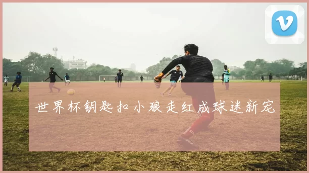 世界杯钥匙扣小狼走红成球迷新宠