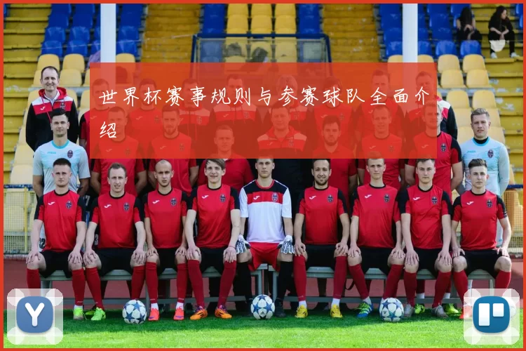 世界杯赛事规则与参赛球队全面介绍