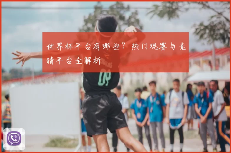 世界杯平台有哪些？热门观赛与竞猜平台全解析