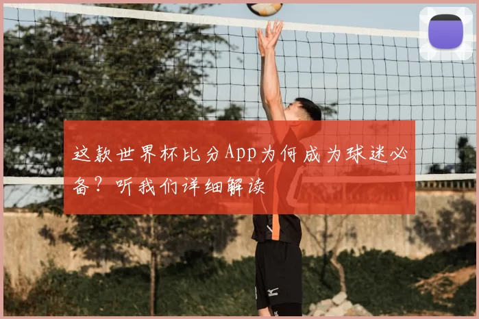 这款世界杯比分App为何成为球迷必备？听我们详细解读