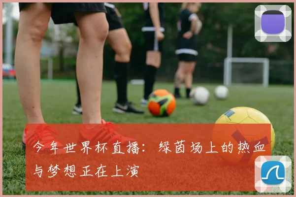 今年世界杯直播：绿茵场上的热血与梦想正在上演
