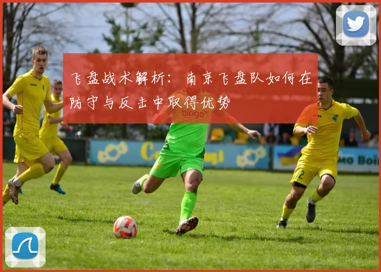飞盘战术解析：南京飞盘队如何在防守与反击中取得优势
