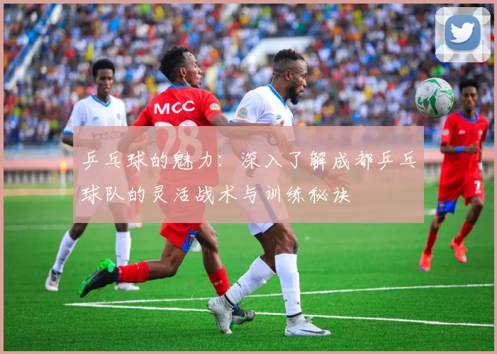 乒乓球的魅力：深入了解成都乒乓球队的灵活战术与训练秘诀