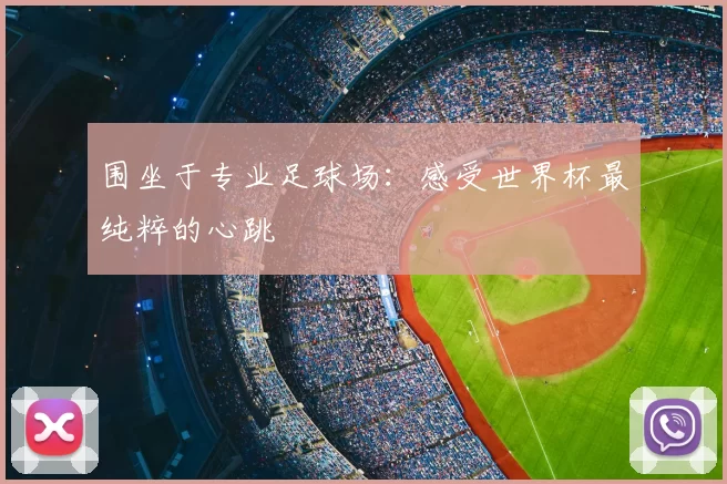 围坐于专业足球场：感受世界杯最纯粹的心跳