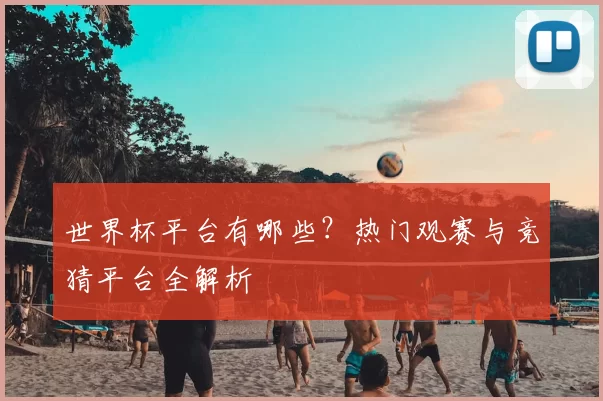 世界杯平台有哪些？热门观赛与竞猜平台全解析