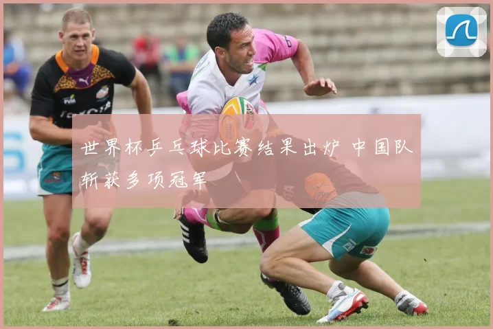 世界杯乒乓球比赛结果出炉 中国队斩获多项冠军