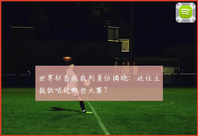 世界杯首战裁判身份揭晓:这位主裁执哨过哪些大赛?